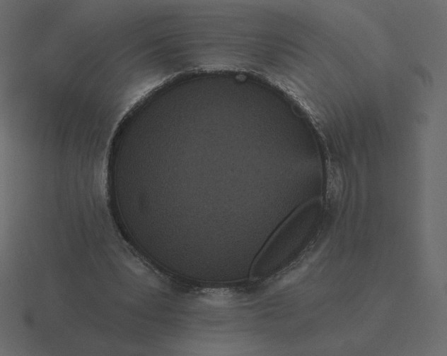 X0000116570391200912241639