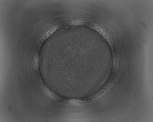 X0000116570393200912241638