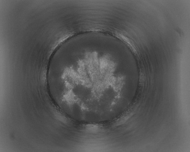 X0000116570394200912241638