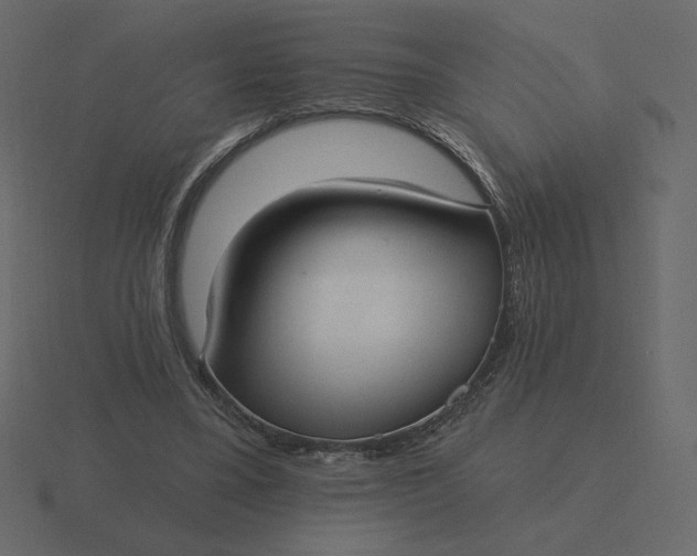 X0000116570395200912241638