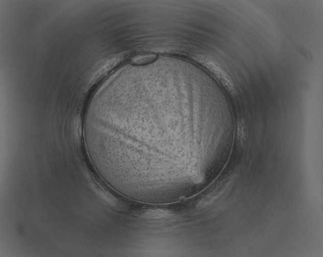 X0000116570397200912241638