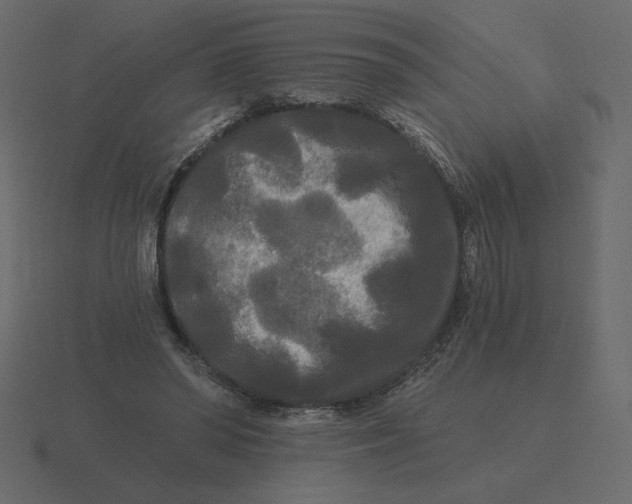 X0000116570398200912241638