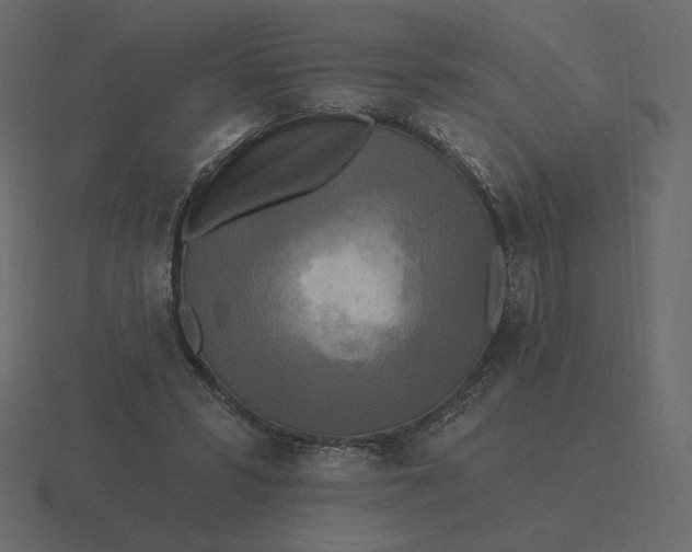 X0000116570399200912241638