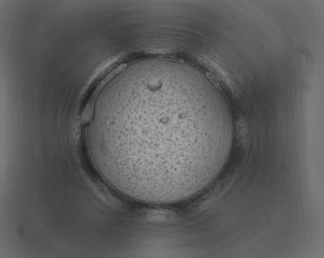 X0000116570400200912241638