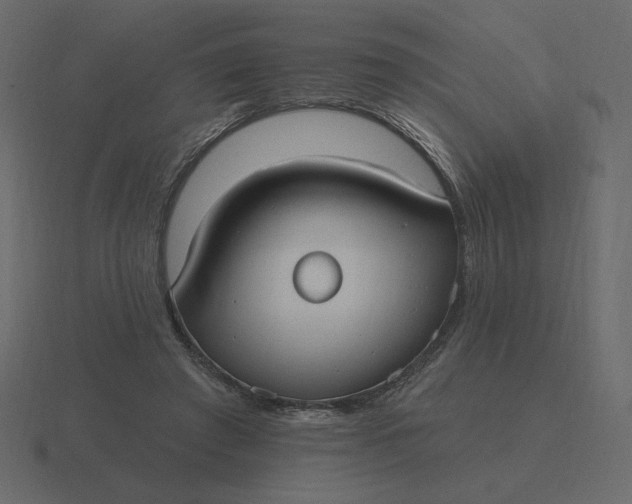 X0000116570401200912241638