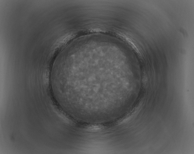 X0000116570402200912241638