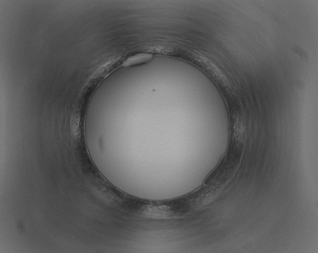 X0000116570403200912241638