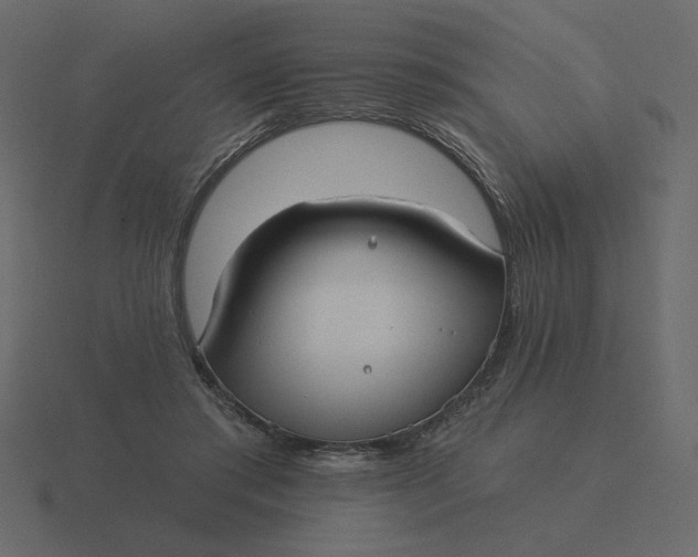 X0000116570405200912241638