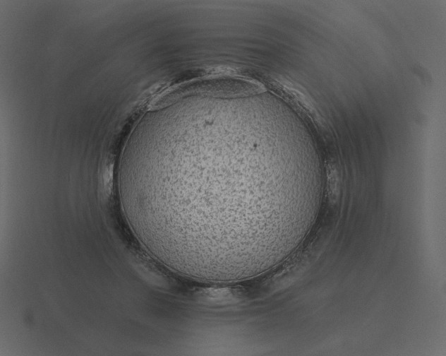 X0000116570406200912241638