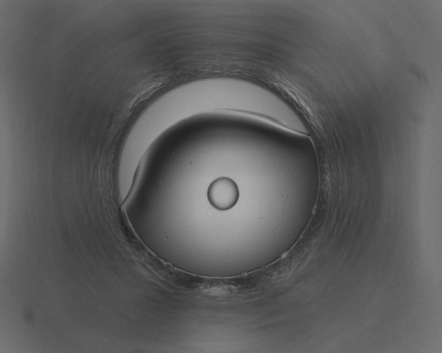 X0000116570407200912241638