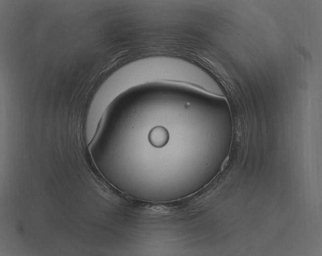 X0000116570409200912241638