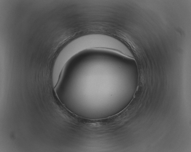 X0000116570411200912241638