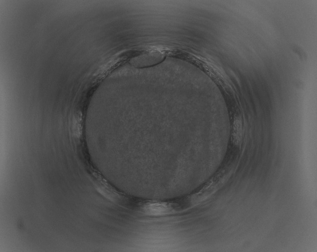 X0000116570413200912241638