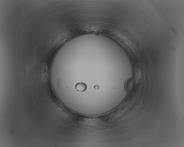 X0000116570414200912241638