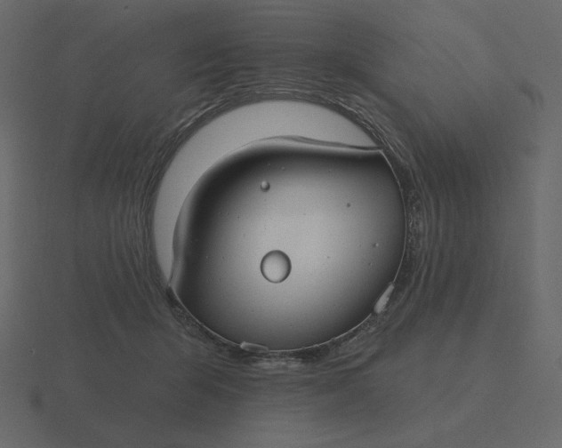 X0000116570415200912241638