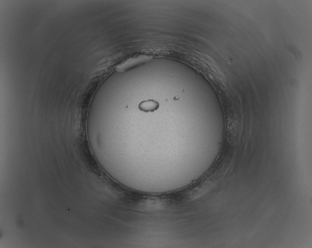 X0000116570416200912241638