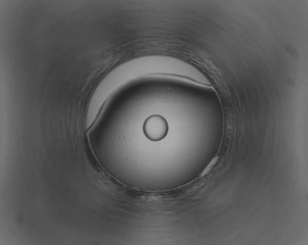 X0000116570419200912241638