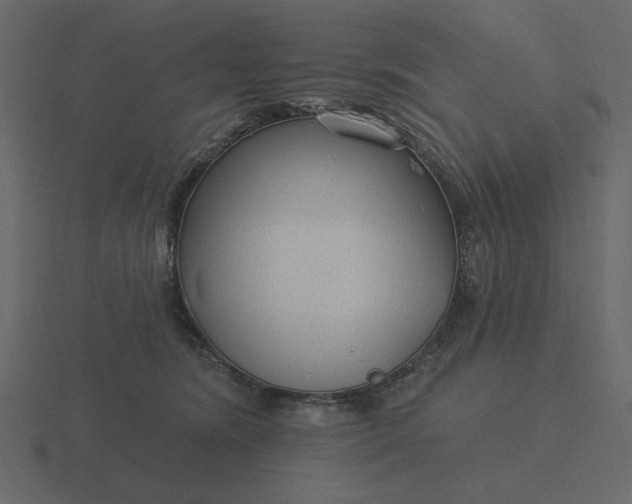 X0000116570420200912241638