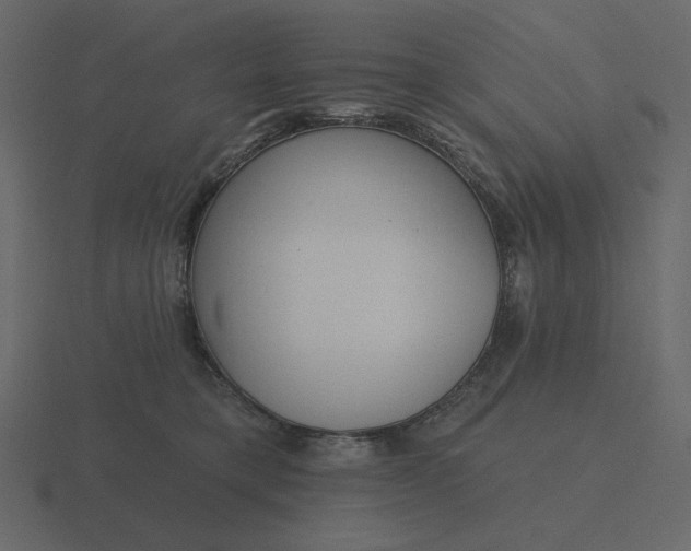 X0000116570421200912241638