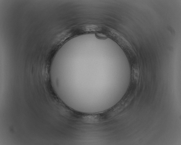 X0000116570422200912241638