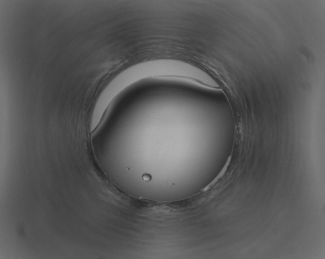 X0000116570423200912241638