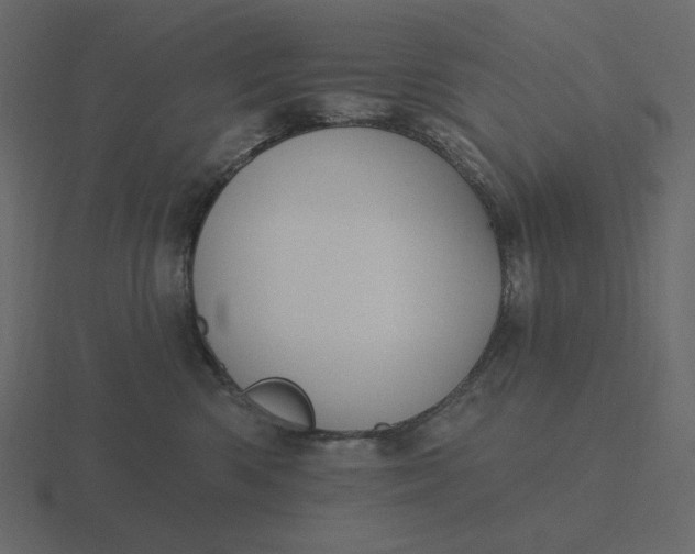 X0000116570426200912241638