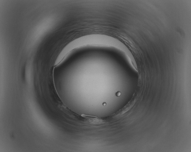 X0000116570429200912241638