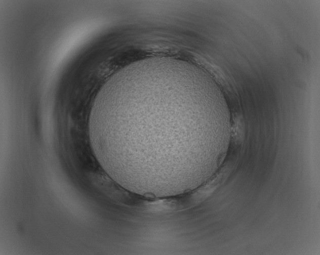 X0000116570430200912241638