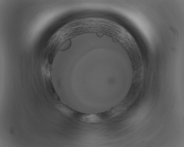 X0000116570431200912241638