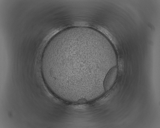 X0000116570433200912241637