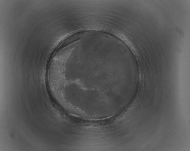 X0000116570434200912241637