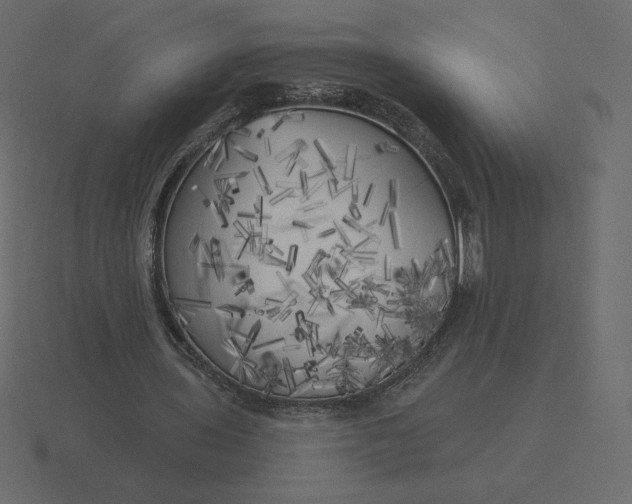 X0000116570435200912241637