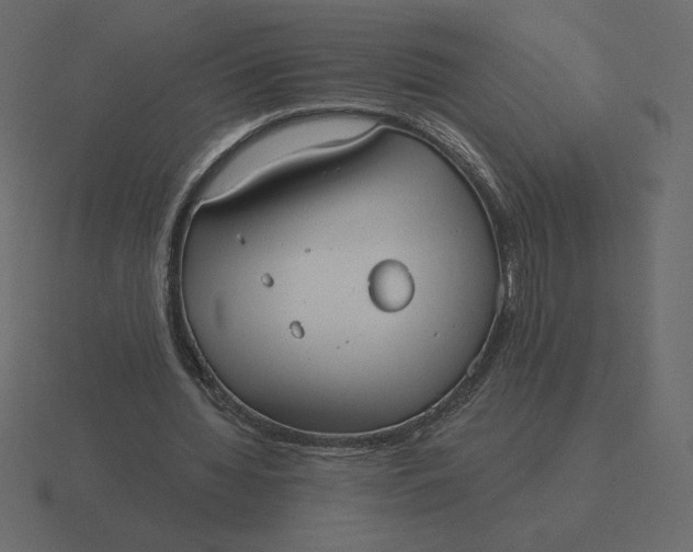 X0000116570436200912241637