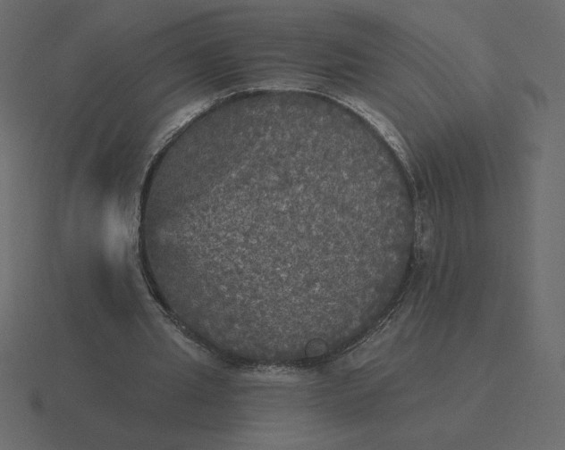 X0000116570437200912241637