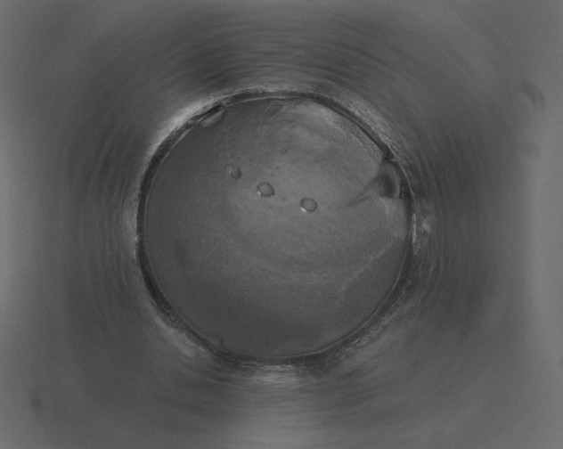 X0000116570438200912241637