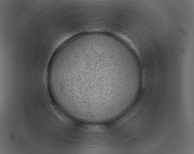 X0000116570439200912241637