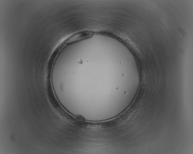 X0000116570440200912241637