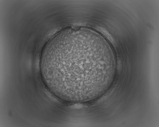 X0000116570441200912241637