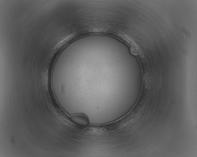 X0000116570442200912241637