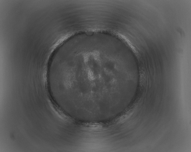 X0000116570443200912241638