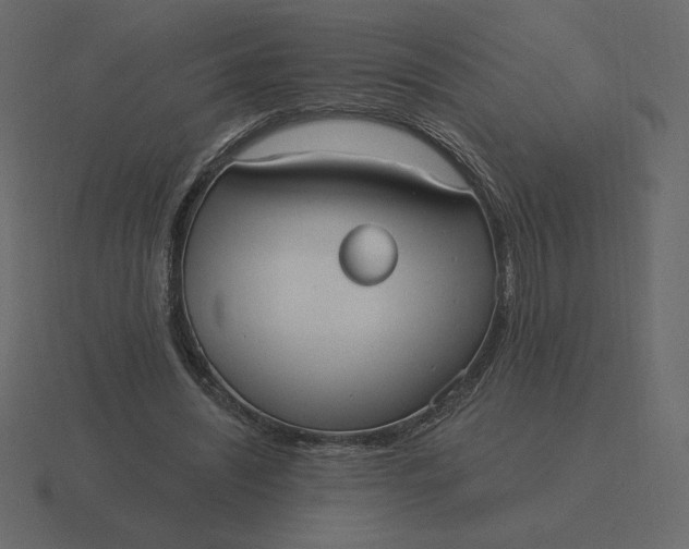 X0000116570444200912241638