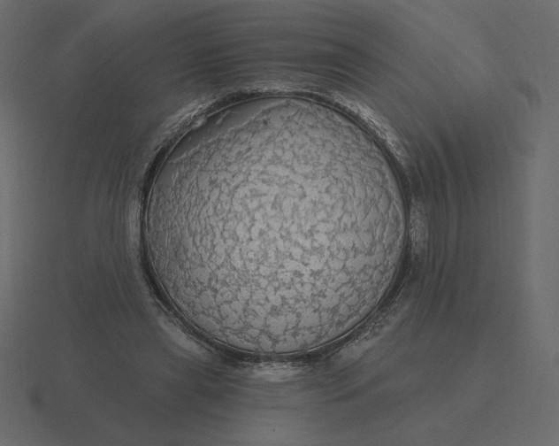 X0000116570445200912241638