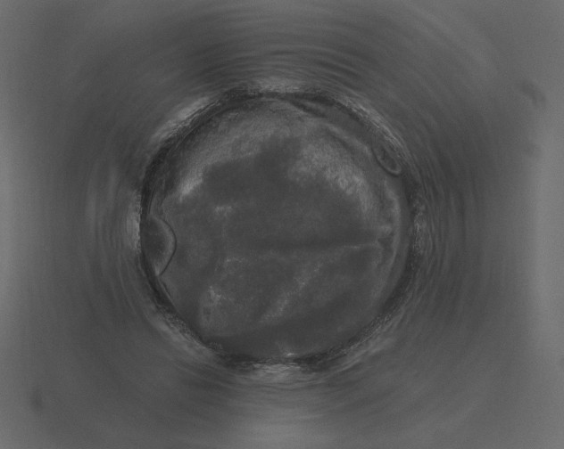 X0000116570446200912241638