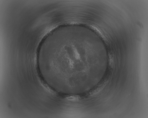 X0000116570447200912241638