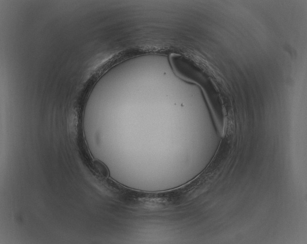 X0000116570448200912241638