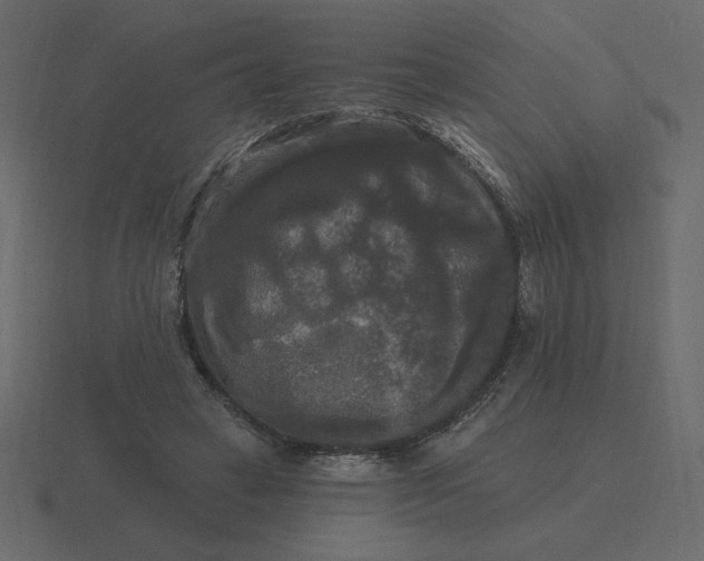 X0000116570449200912241638