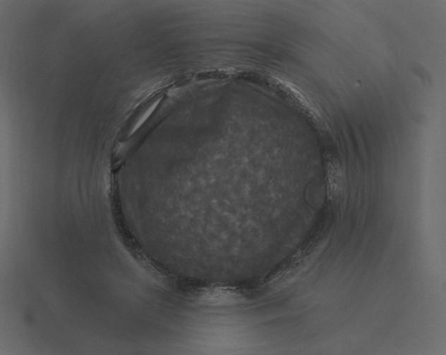 X0000116570451200912241638