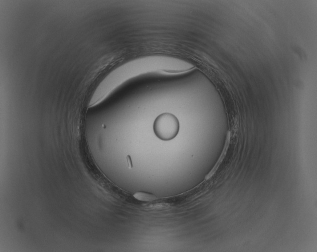 X0000116570452200912241638