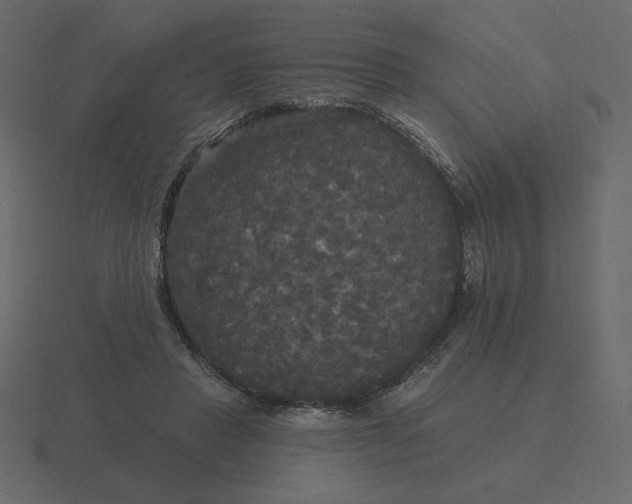 X0000116570453200912241638