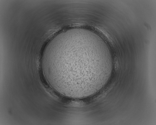 X0000116570455200912241638